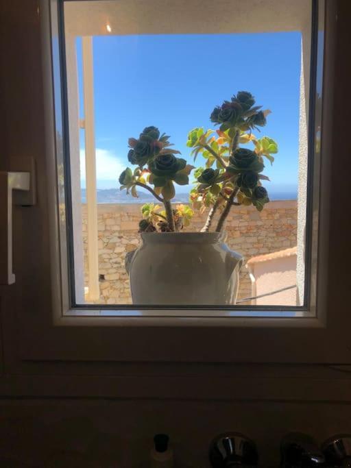 La Maison De B * Lumio (Corsica)